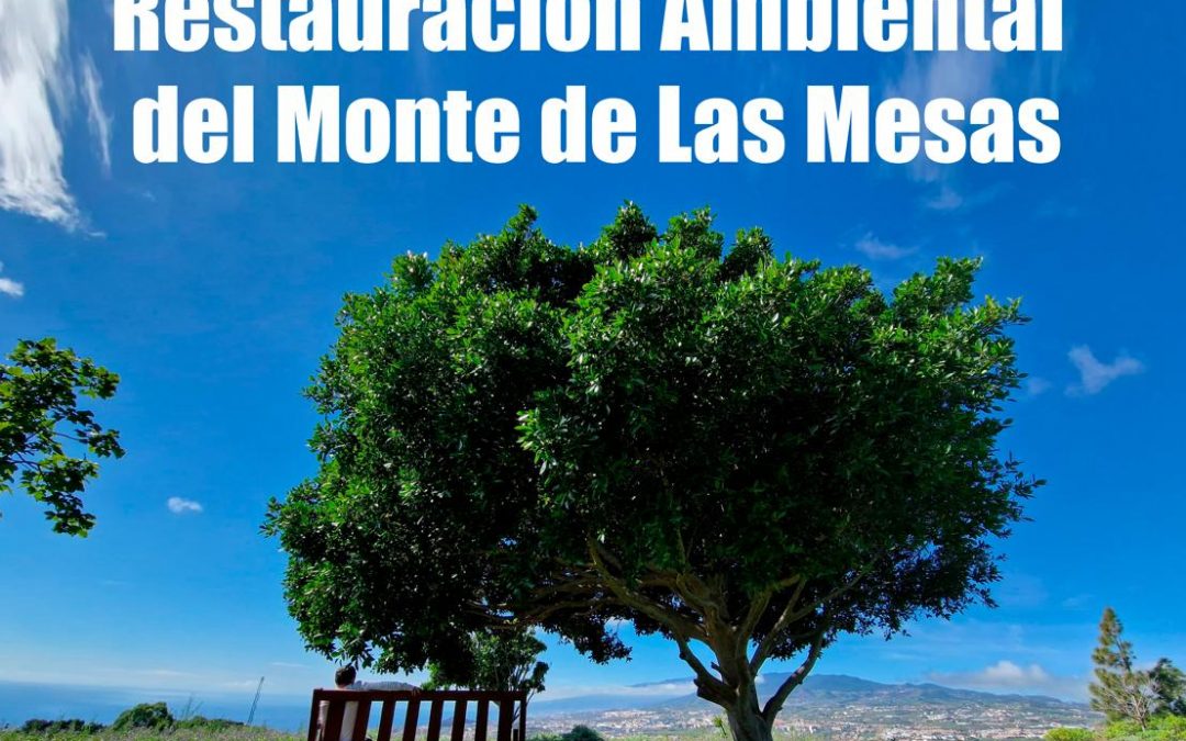Semana del Medioambiente de Santa Cruz de Tenerife