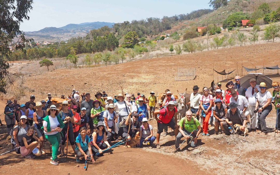 La Federación Tinerfeña de Montañismo participó en el VIII Paseo Ganadero por la Cañada Lagunera
